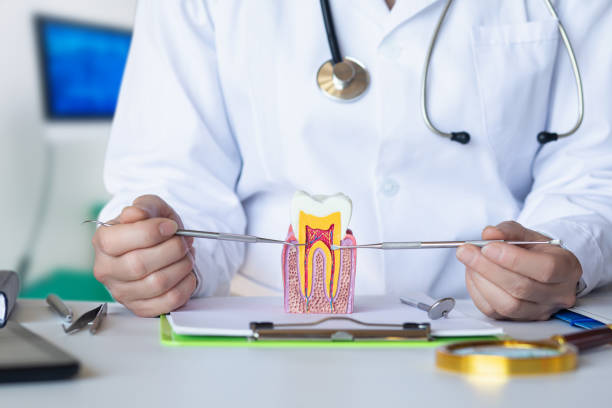 Best Emergency Treatment for Oral Infections in Mapleton, IA